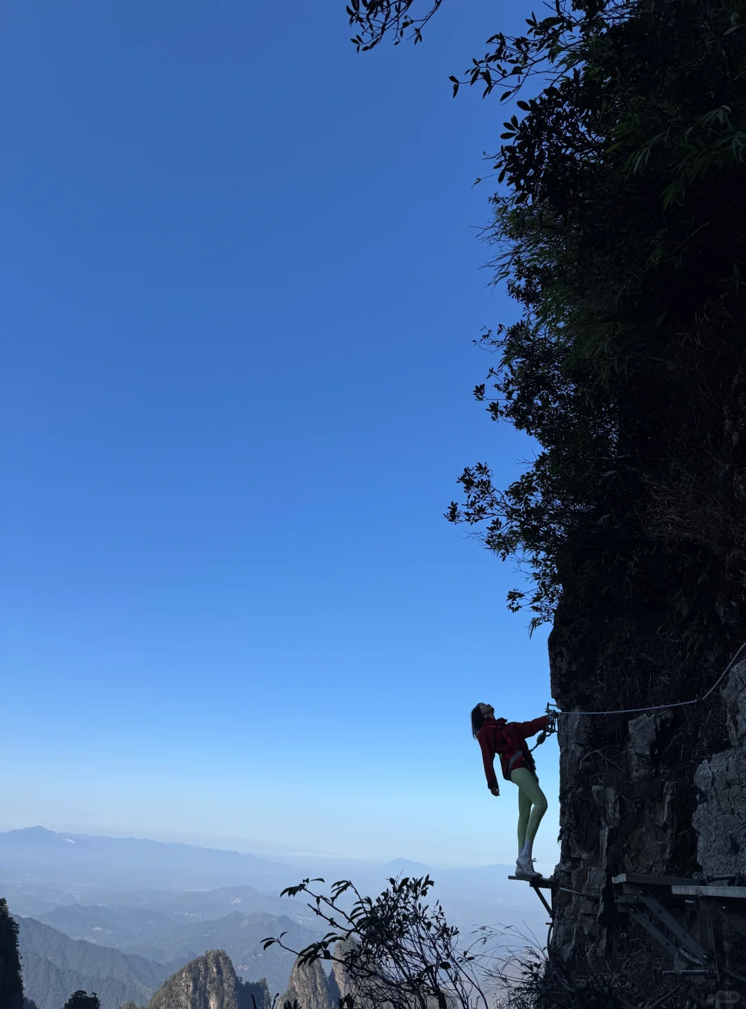 高弹莱赛尔纤维瑜伽裤！-非锦纶，更舒适！