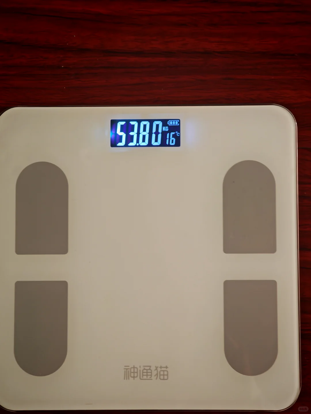 控糖控糖控糖(微放纵版)