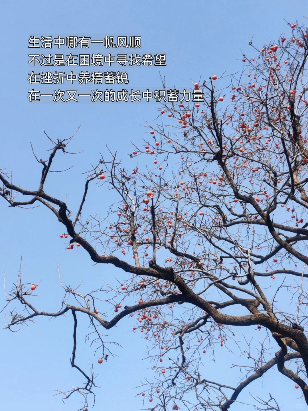 真正的成长：向内求、向前看、向阳生