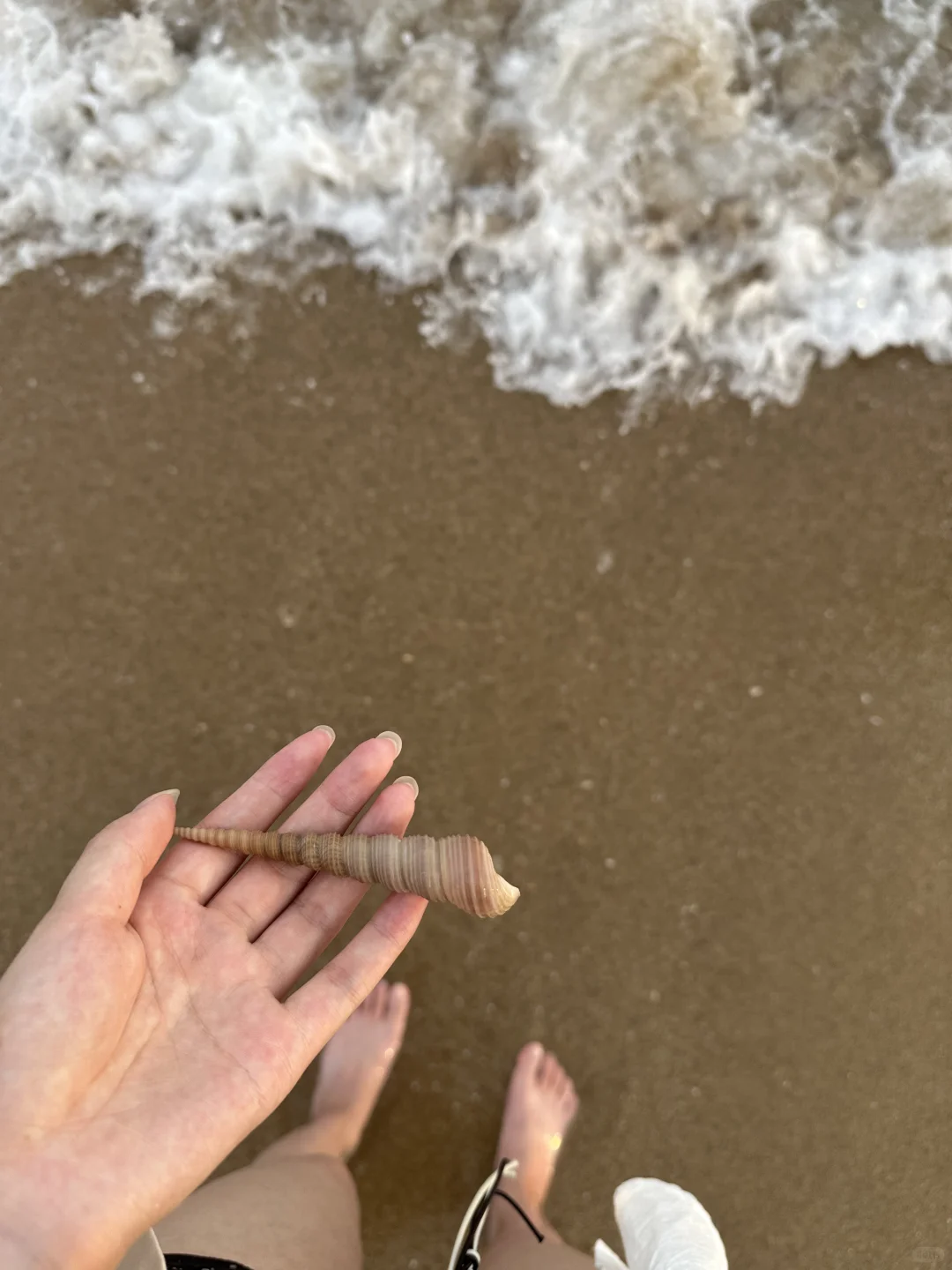 160 80 海边碎片🌊