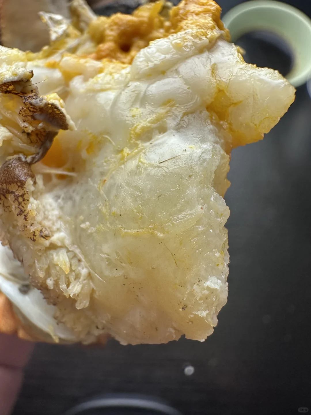 大降温！大残母蟹肥成红薯精了🤣