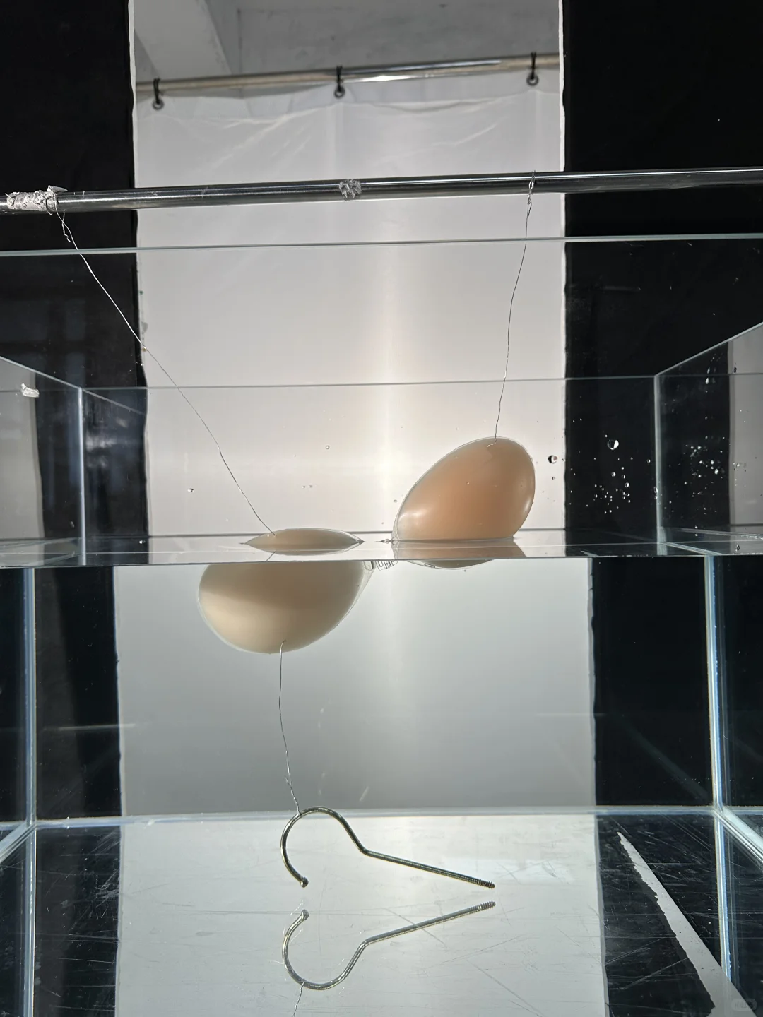 找模特！义乌杭州都可以