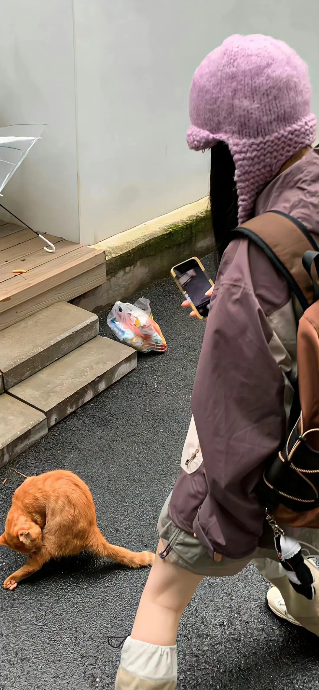 手机壁纸，女生壁纸