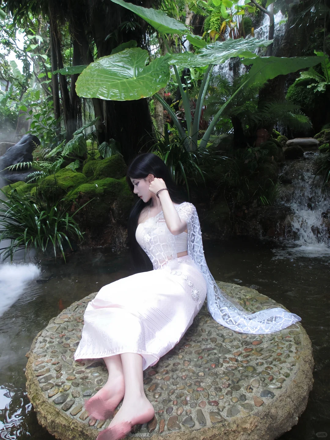 误入版纳爱丽丝梦游仙境