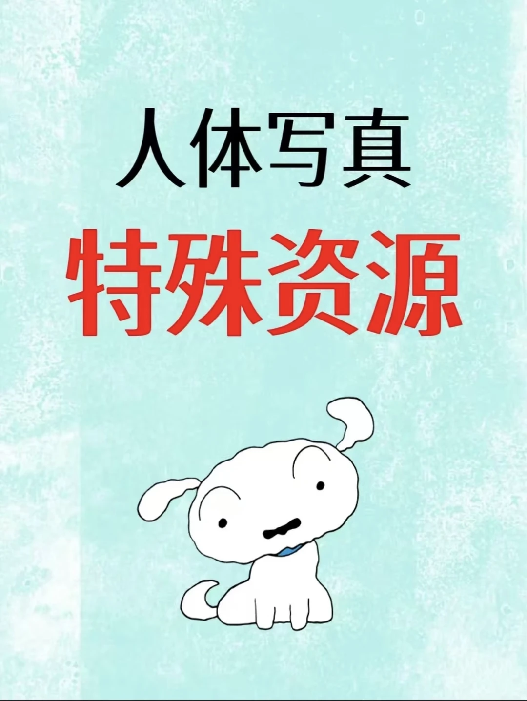 艺术写真集 全女性人体写真