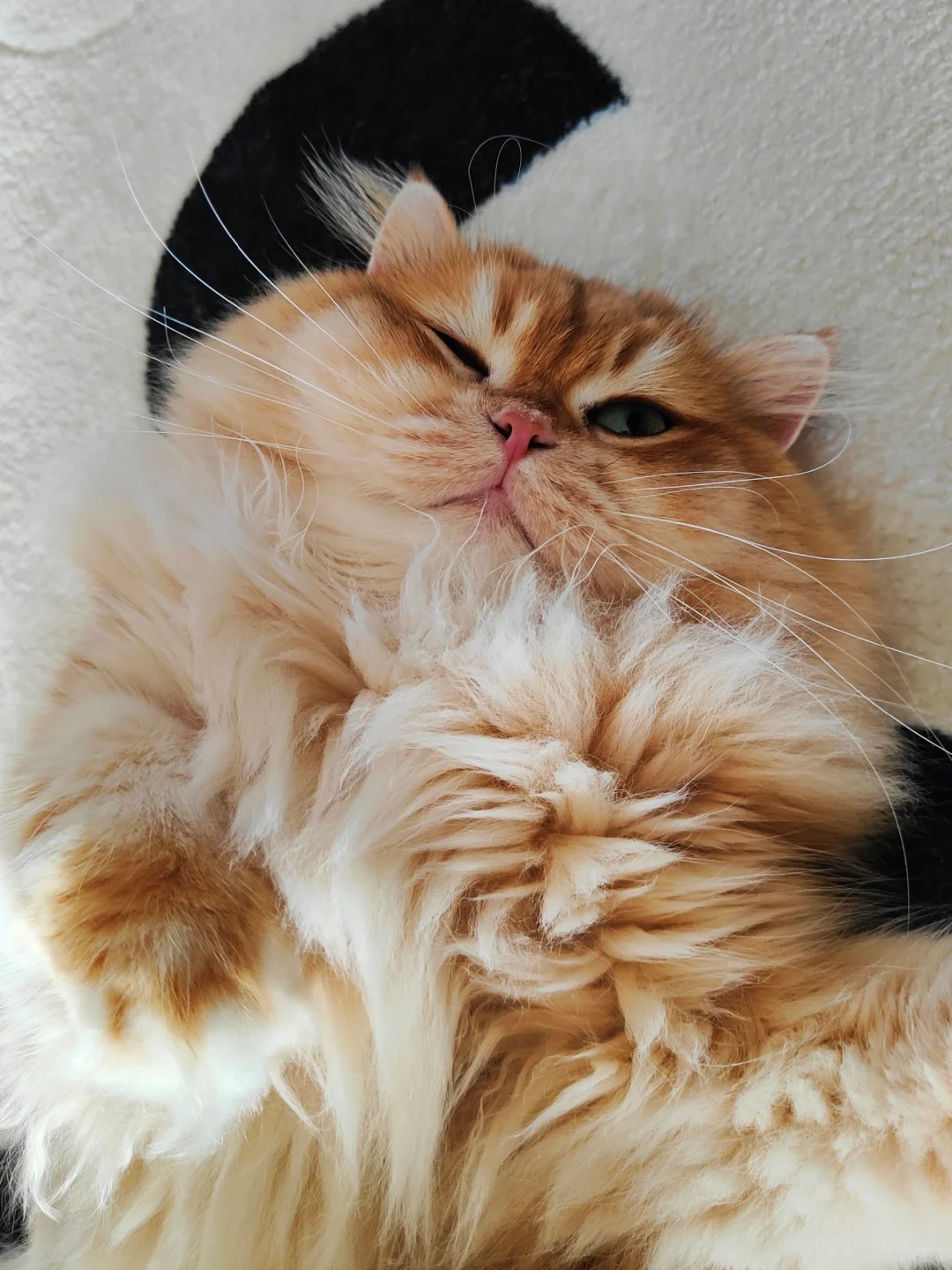 朝我抛媚眼，这谁顶得住