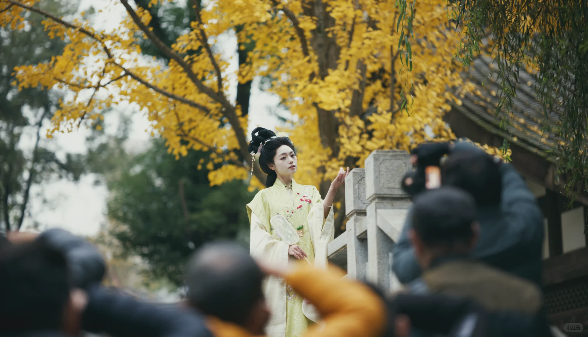 一群老登拍嫩模