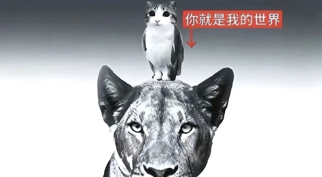 自存秦彻相关抽象文案