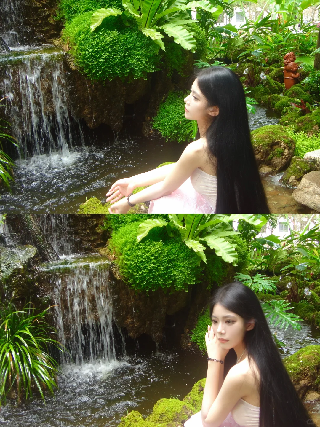 误入版纳爱丽丝梦游仙境