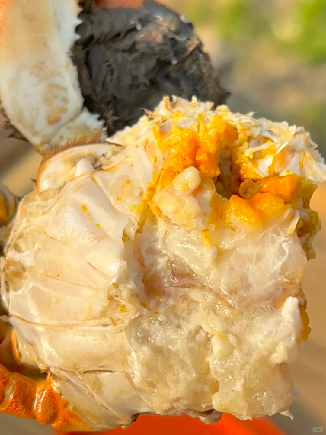 糊嗓警告❗绝啊，比猪油还香的公蟹膏~