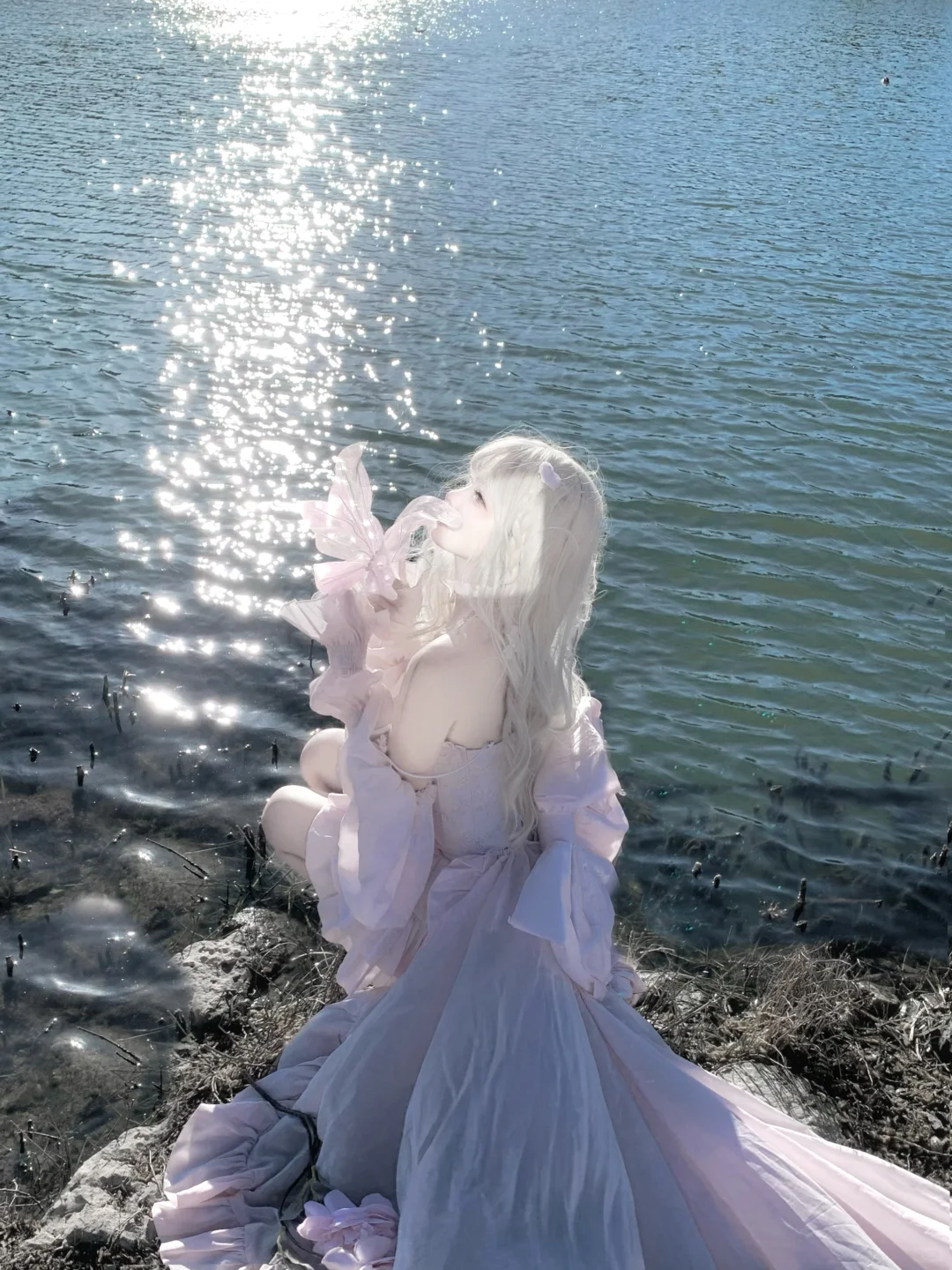 ᴠᴇʟᴠᴇᴛ ʀᴀʙʙɪᴛ🐇 ˖ ⊹