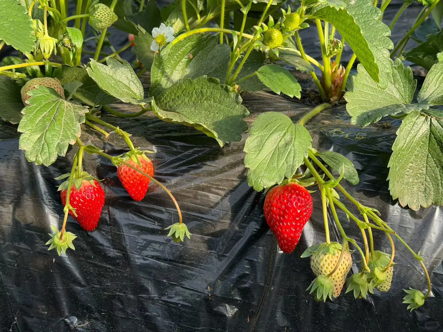 离开医院后感觉一切都好可爱☺️