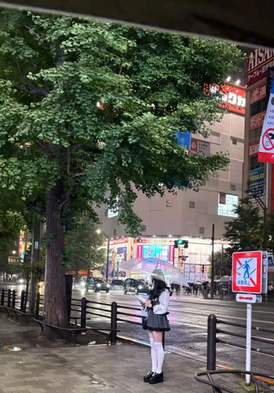 日本 | 秋叶原音影/写真/漫画杂货店