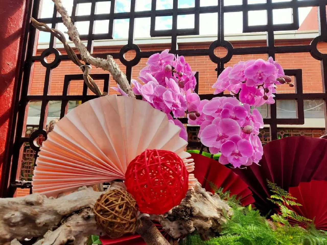 蘭花，靜、香，盡享美艷姿色