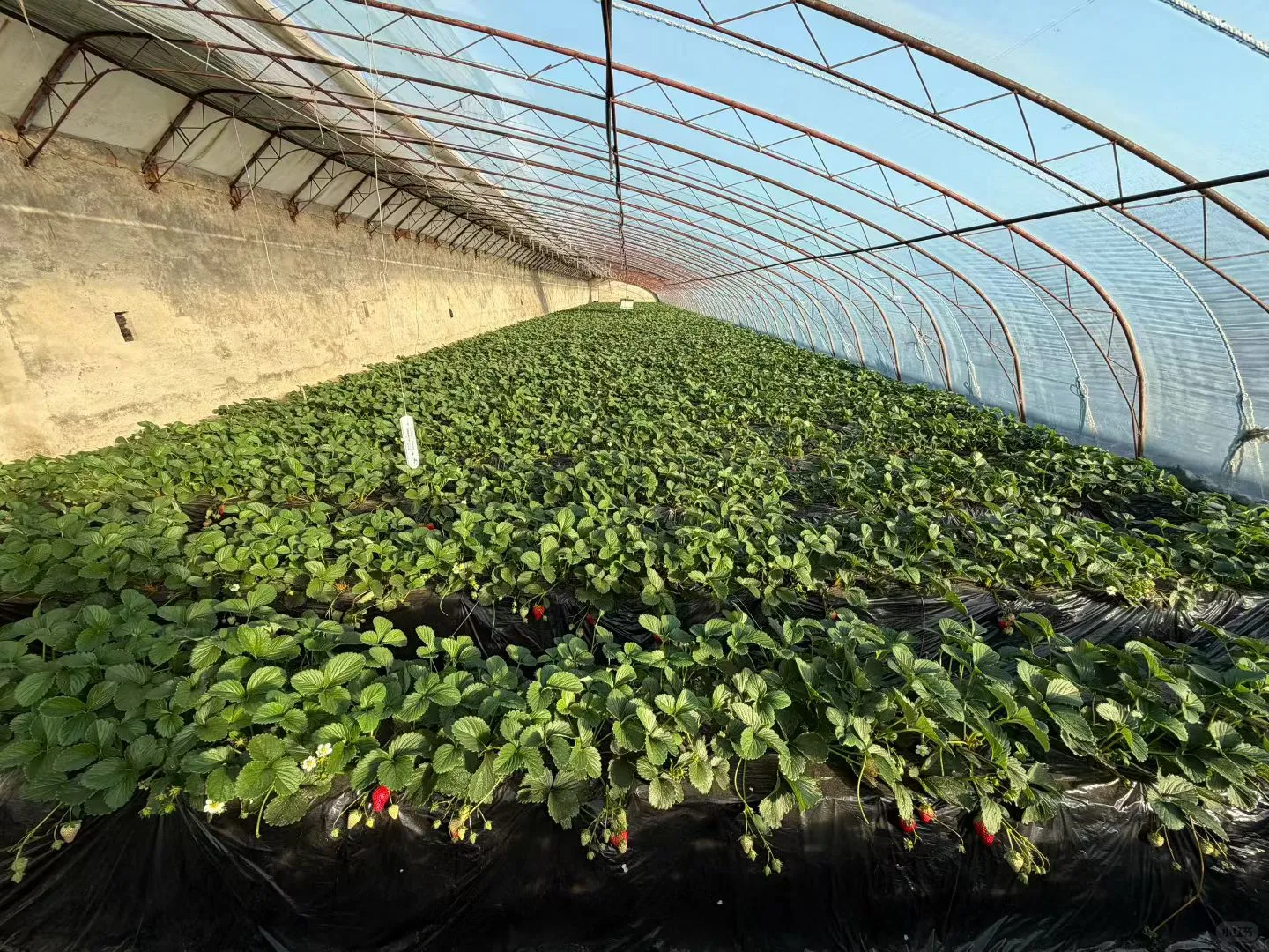 离开医院后感觉一切都好可爱☺️