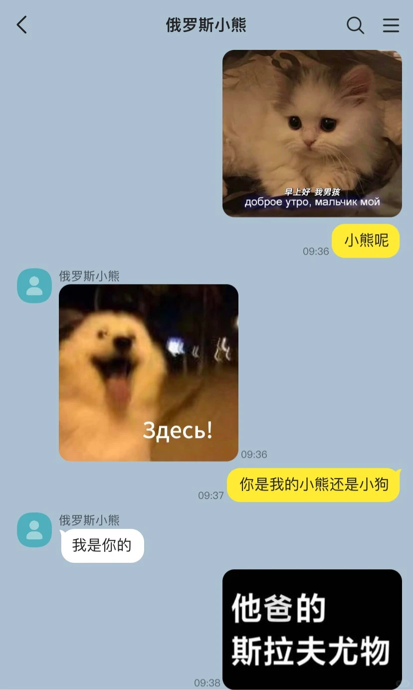 当你遇到斯拉夫尤物4️⃣