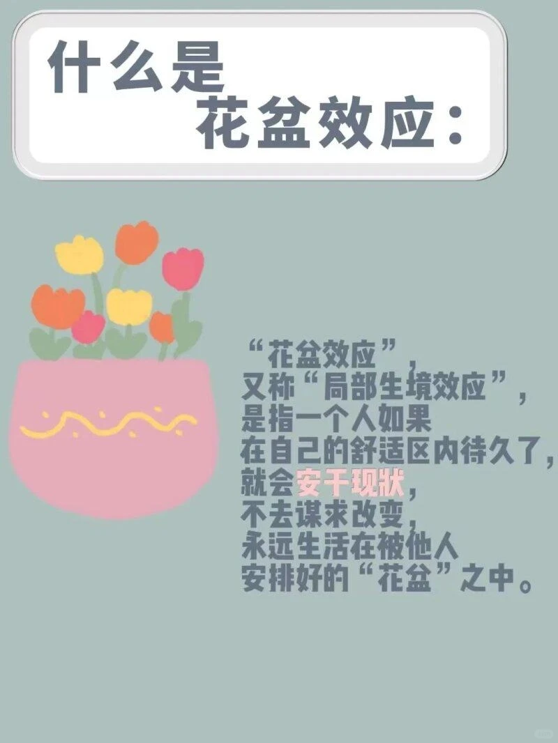 心理学效应之花盆效应