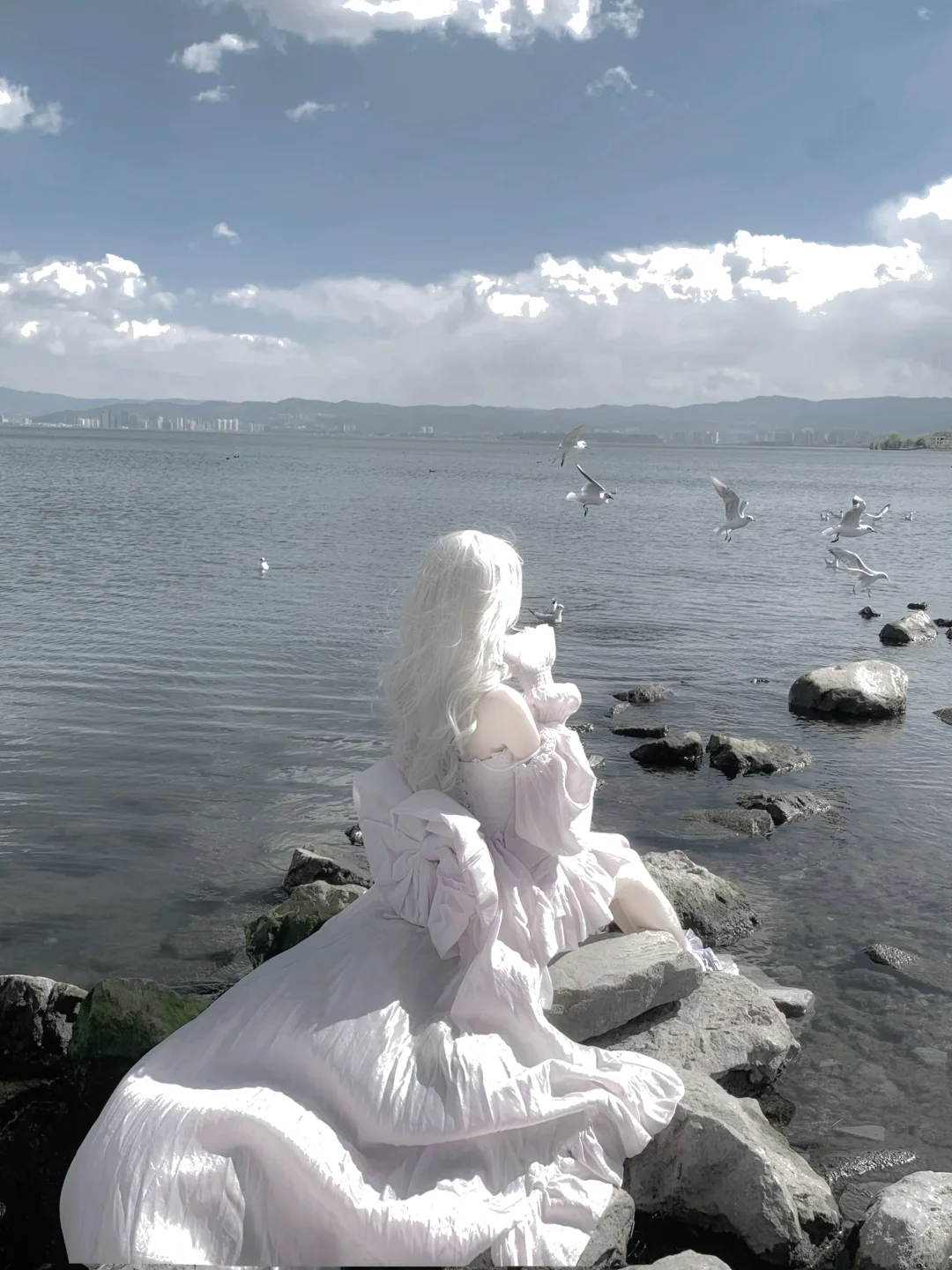 ᴠᴇʟᴠᴇᴛ ʀᴀʙʙɪᴛ🐇 ˖ ⊹