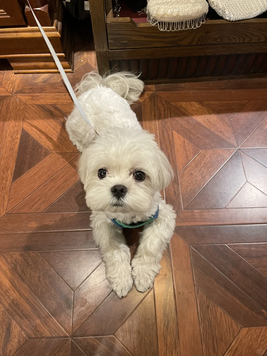 不能放弃粉色和包臀裙