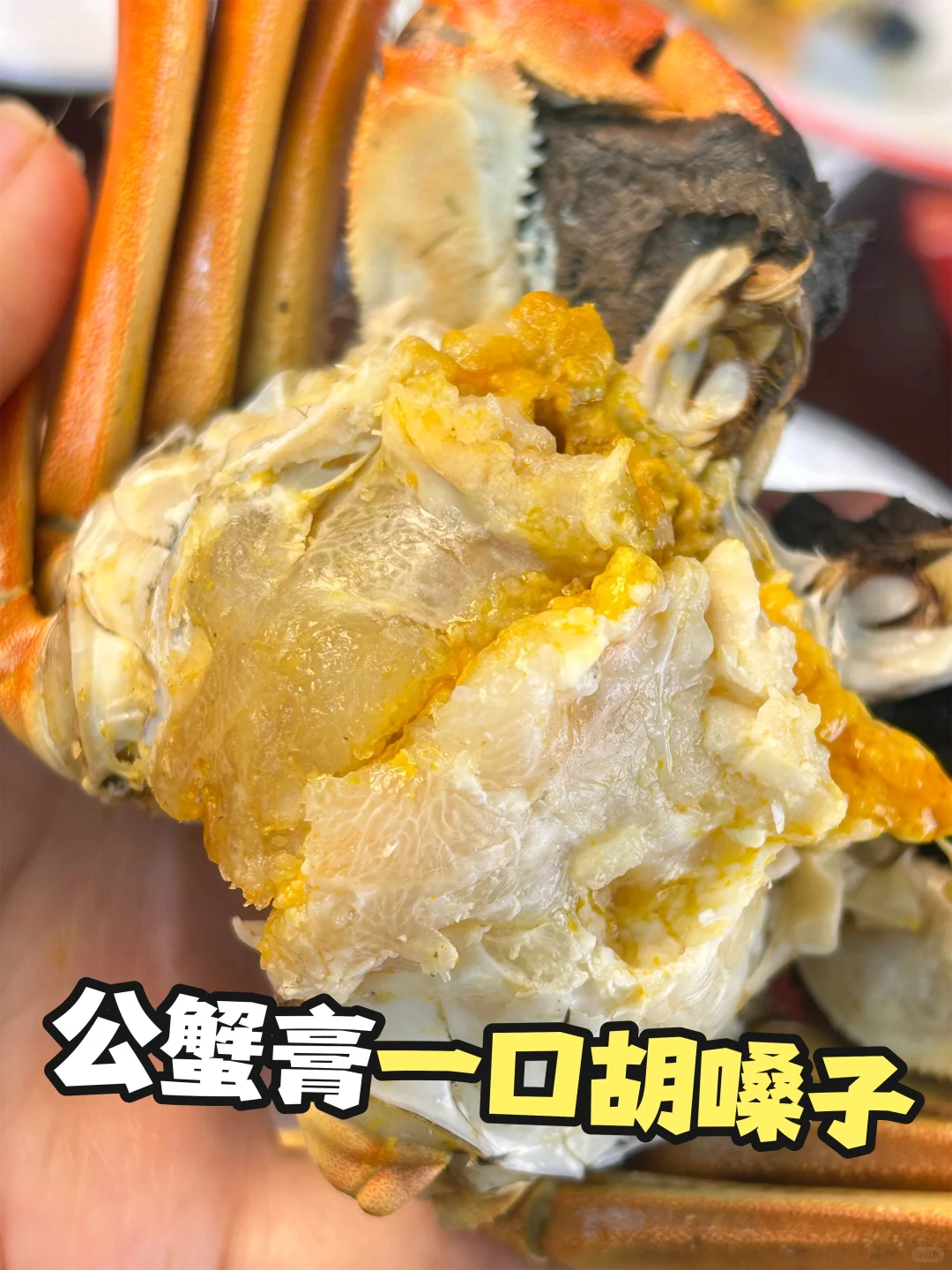 糊嗓警告❗绝啊，比猪油还香的公蟹膏~