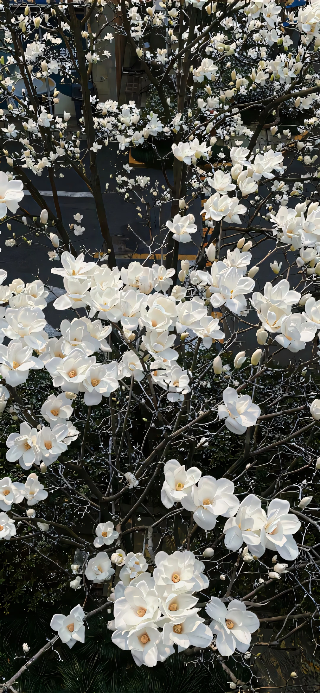 手机壁纸：我曾踏月而来，只因你在山中。