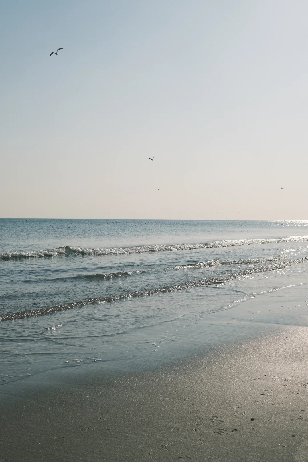 卡哈特与海边更配