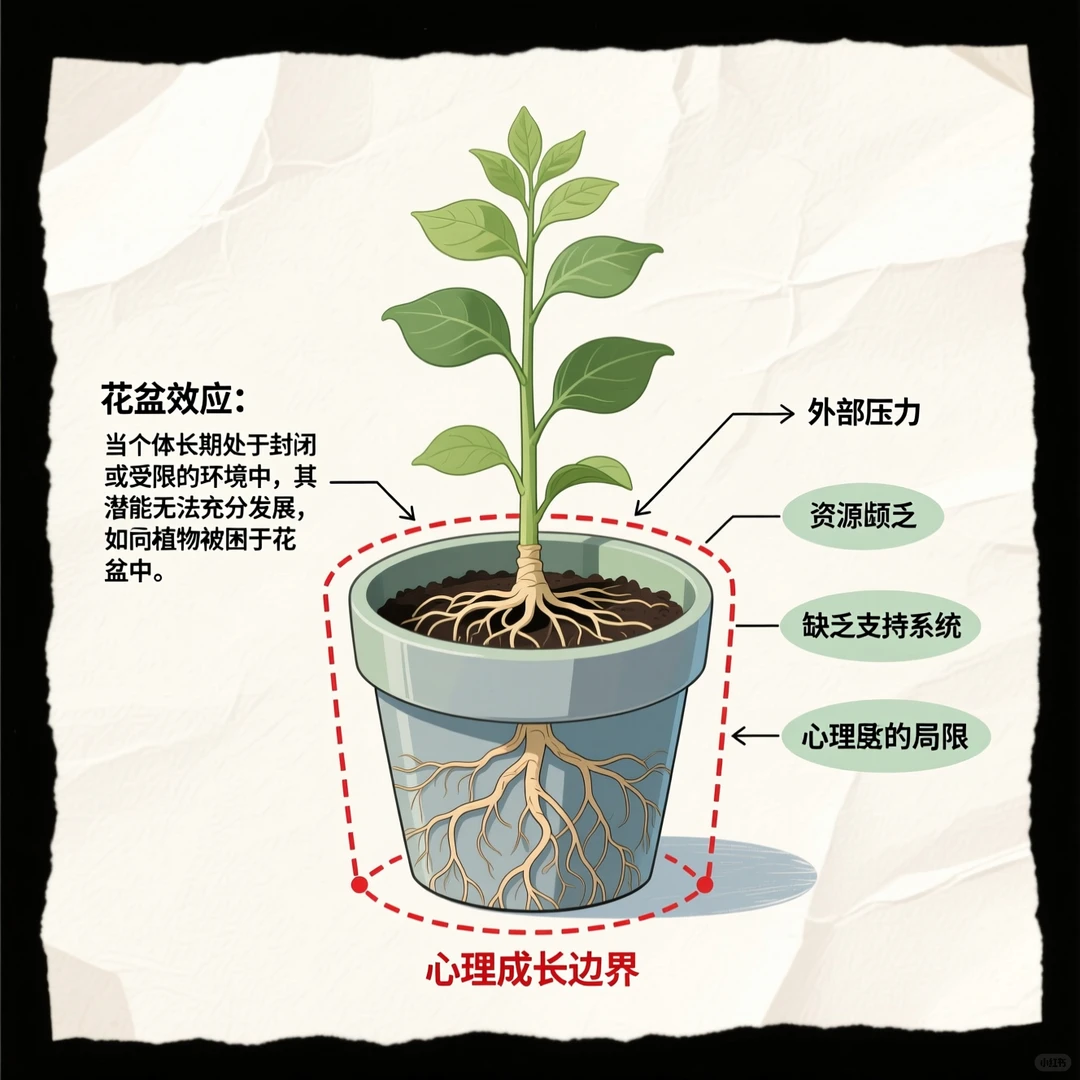 心理学效应之花盆效应