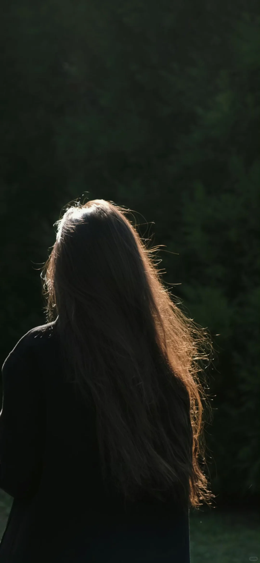 手机壁纸，女生壁纸