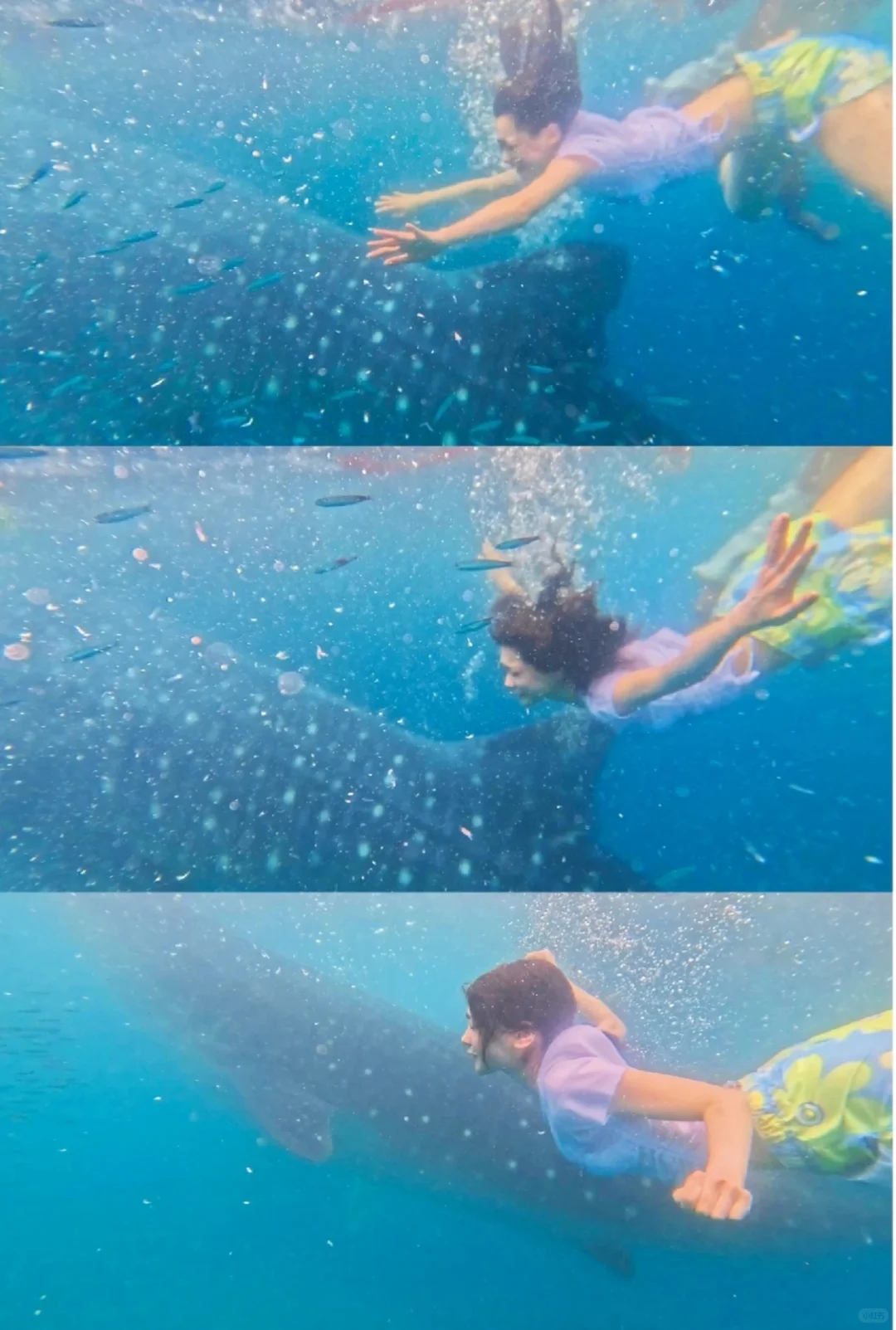 今森茉耶 「恋がはじまる」