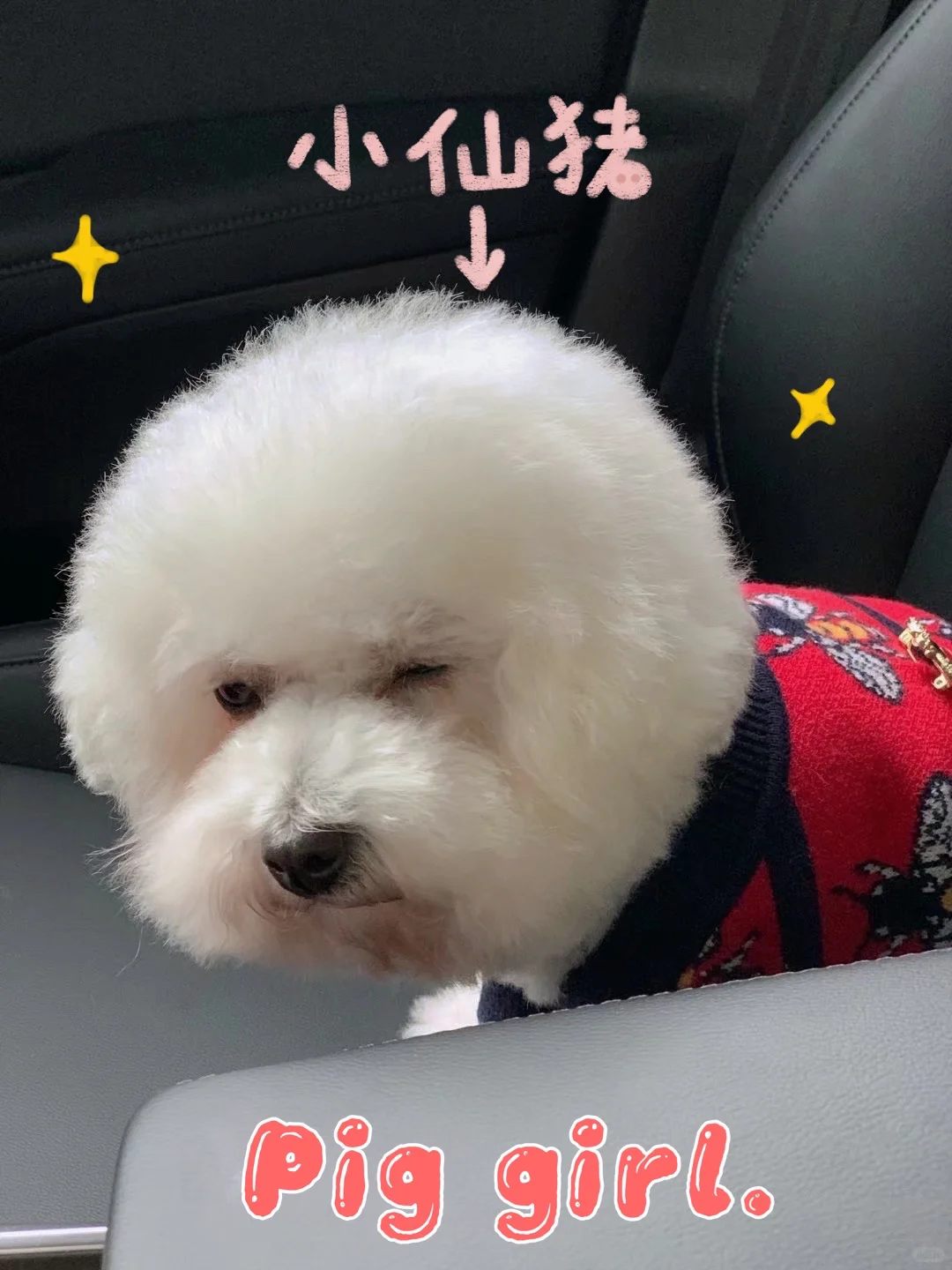 lucky给你抛媚眼了哦