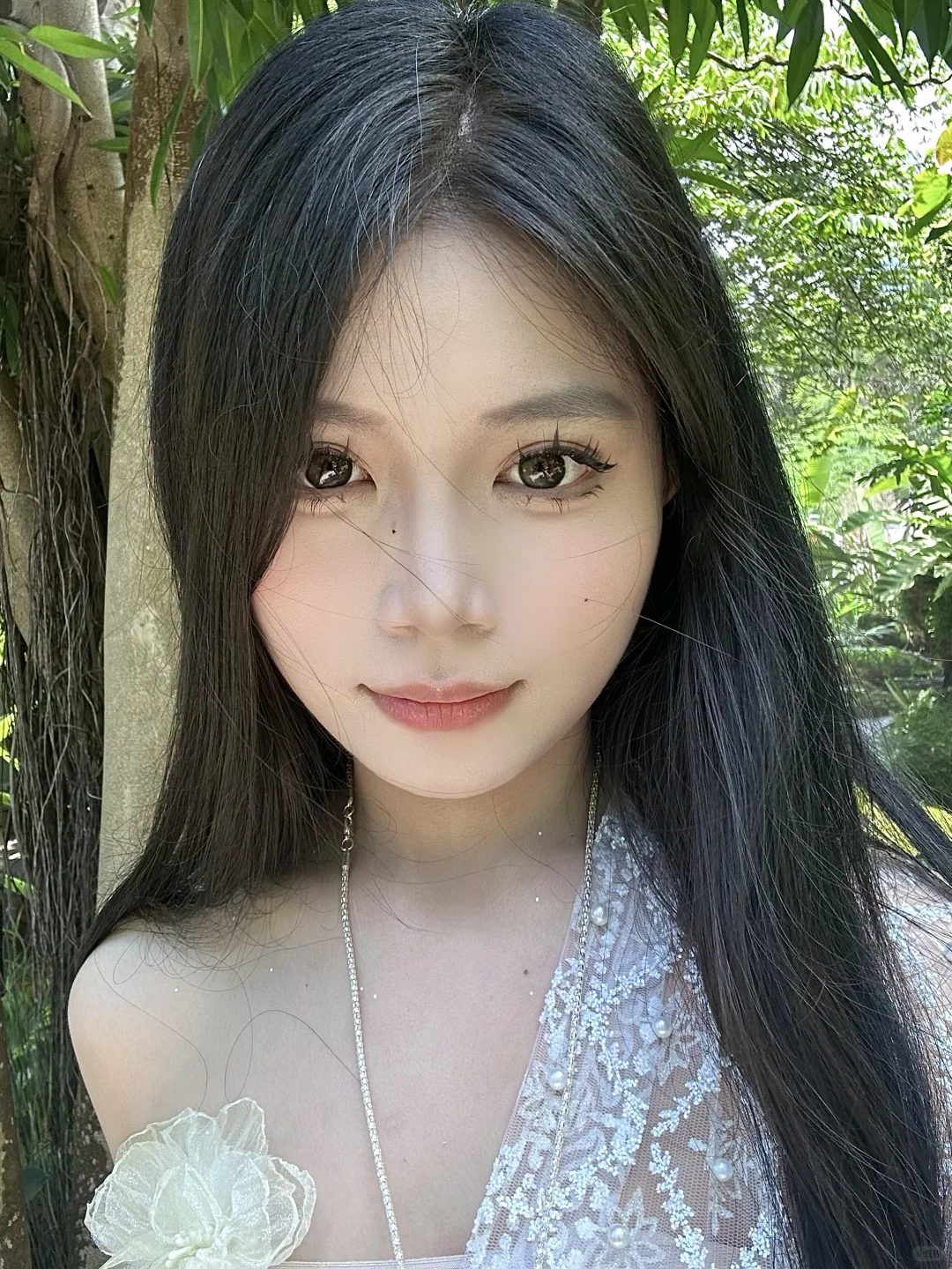 误入版纳爱丽丝梦游仙境