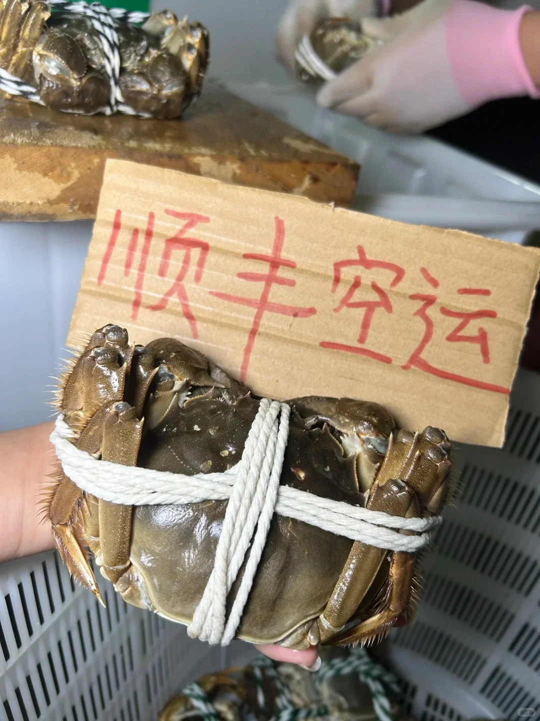 糊嗓警告❗绝啊，比猪油还香的公蟹膏~