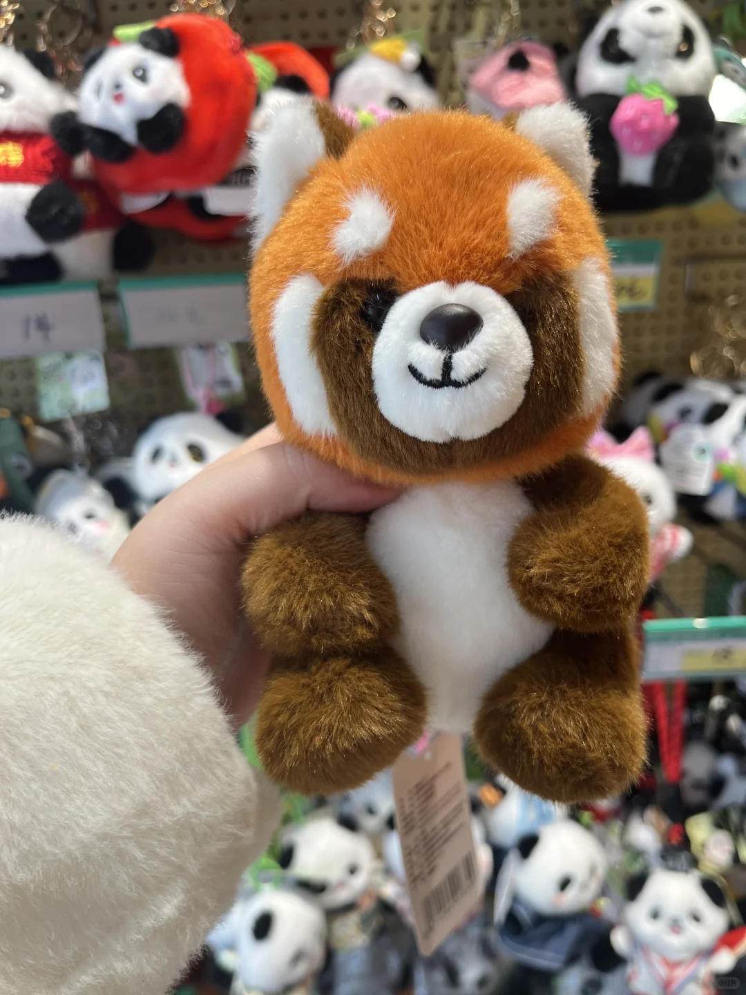 成都人狂喜！熊猫控必冲的特产福利价，39.9承
