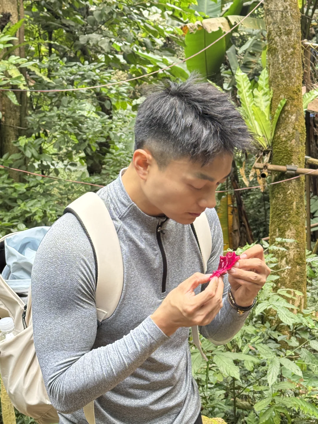 雨林徒步 穿越山野溪涧