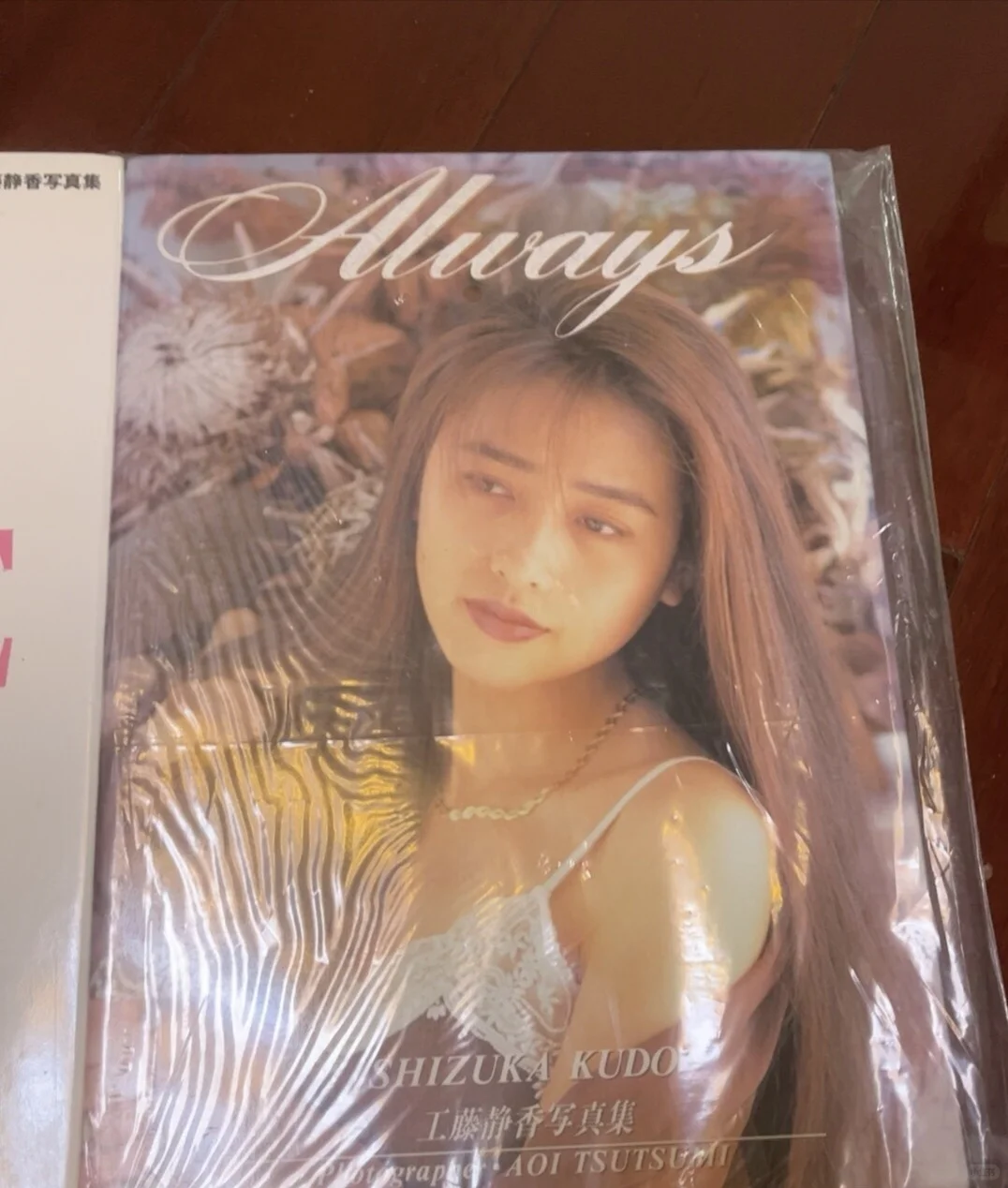 出工䕨静香写真集