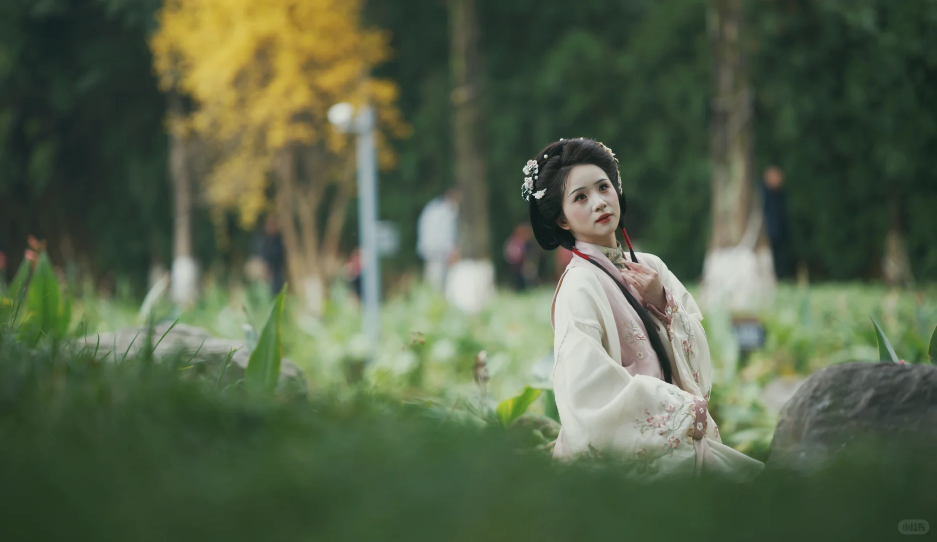 一群老登拍嫩模