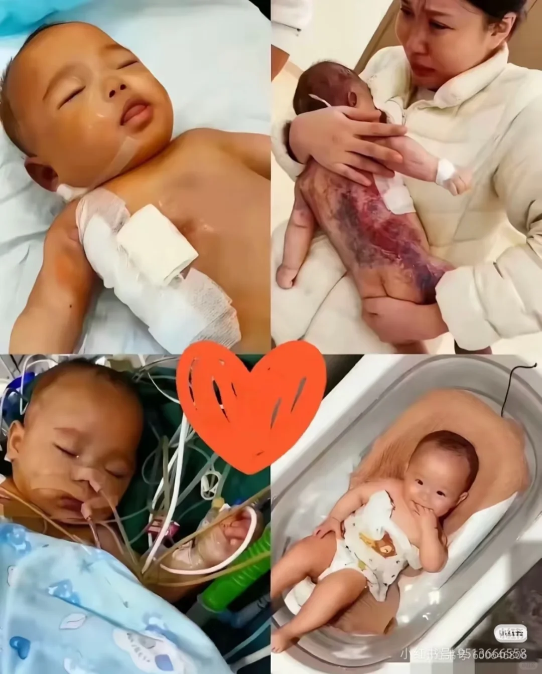 小洛熙，小洛熙，小洛熙