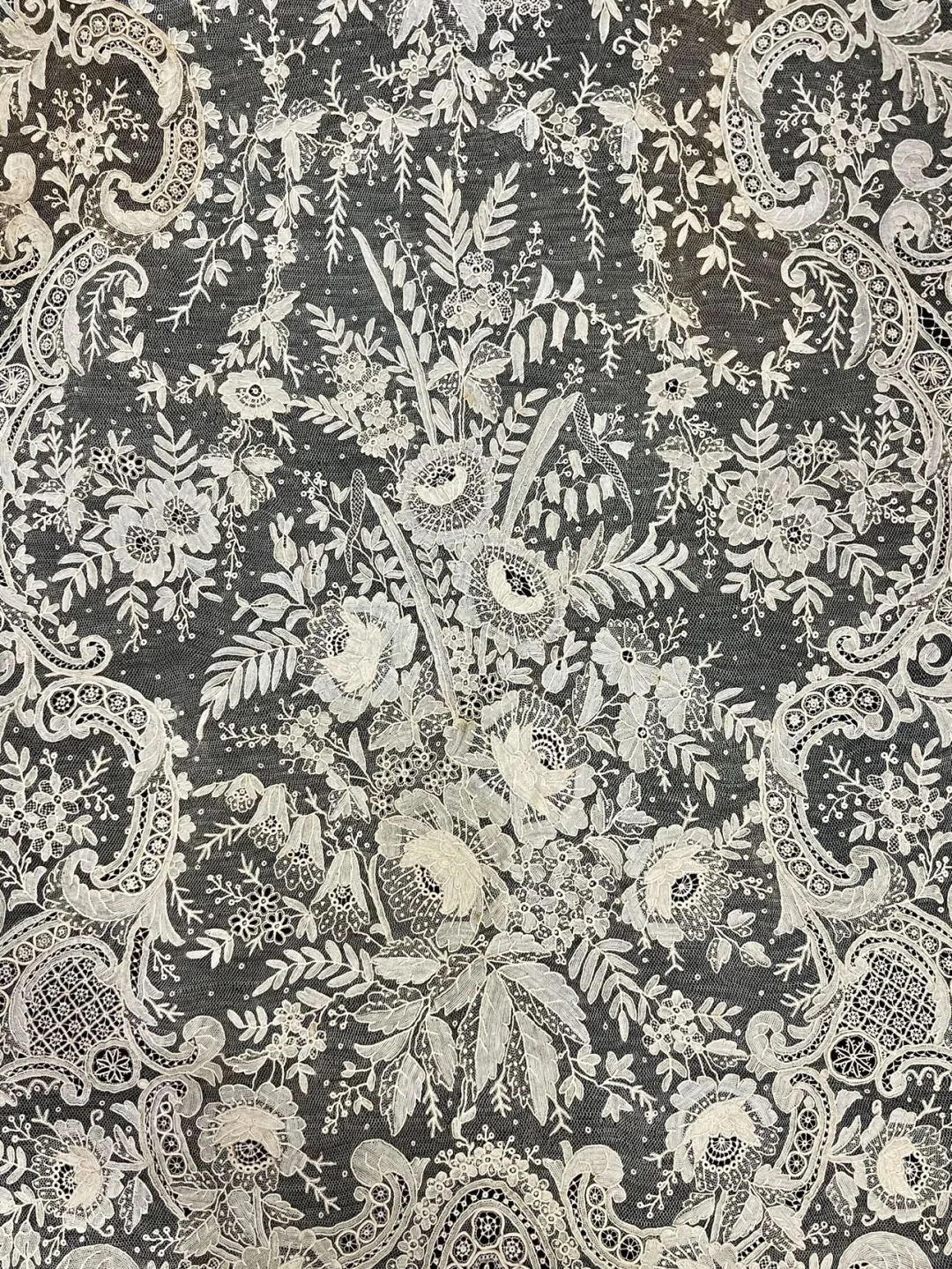 🕊️百年蕾丝—博物馆级的薄雾之花！！！！