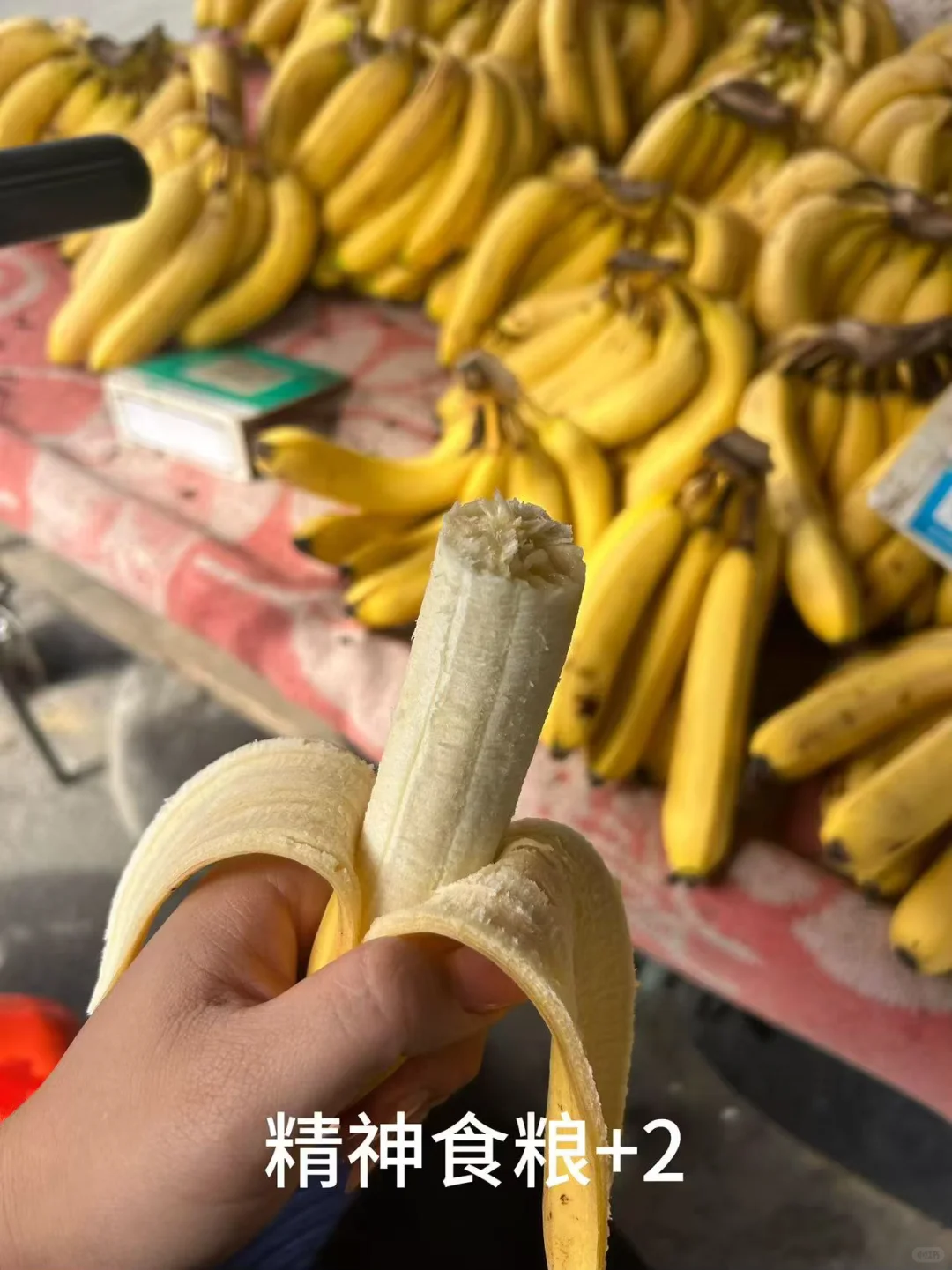 哪个明天都没有今天更佳鲜活了