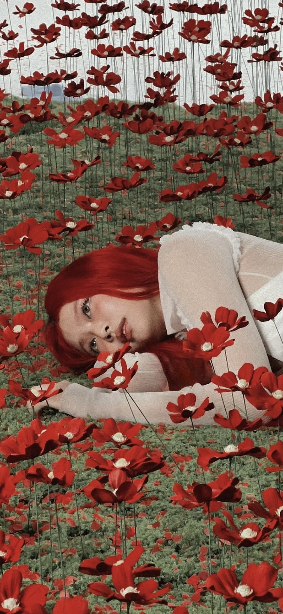 jennie 壁纸 5️⃣