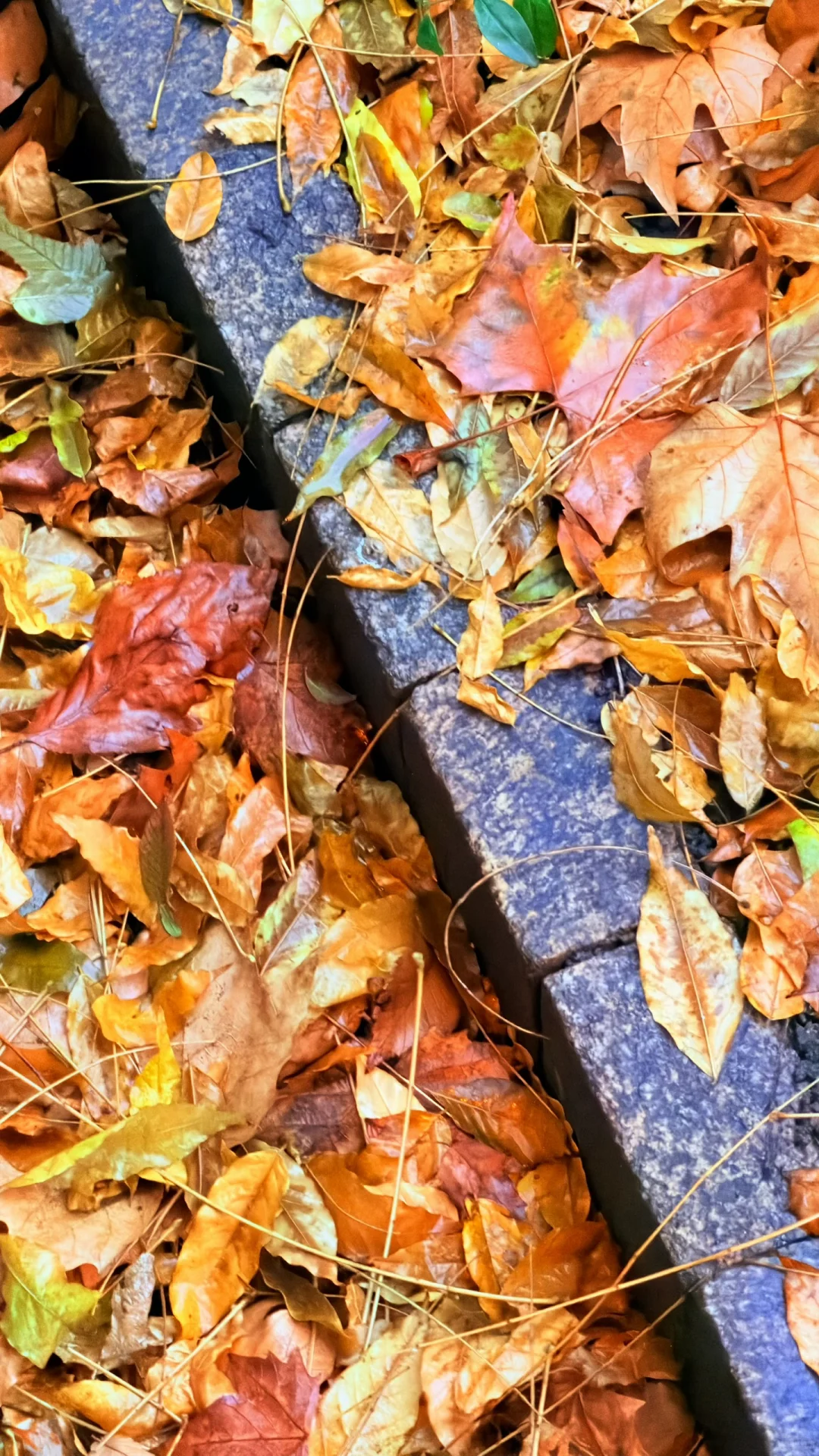 与往事和解，拥当下入怀，向未来微笑