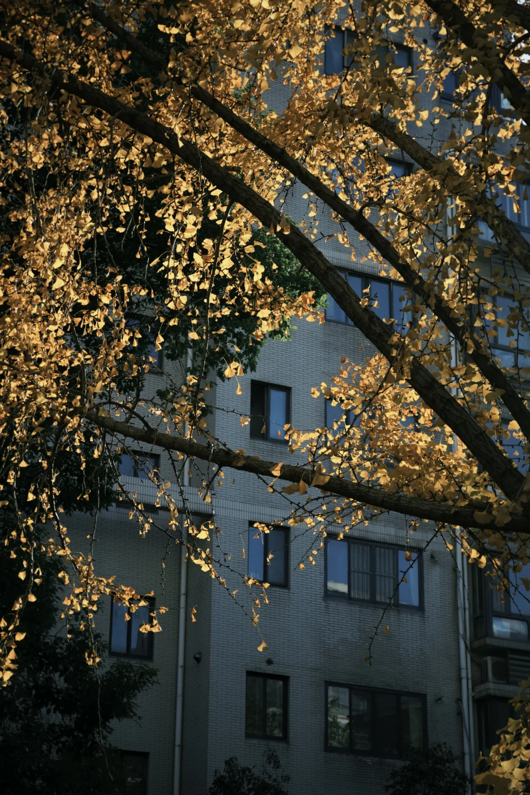 ☀️【天气好极了，钱几乎没有。】