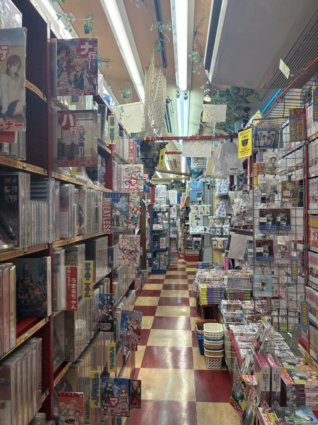 日本 | 秋叶原音影/写真/漫画杂货店