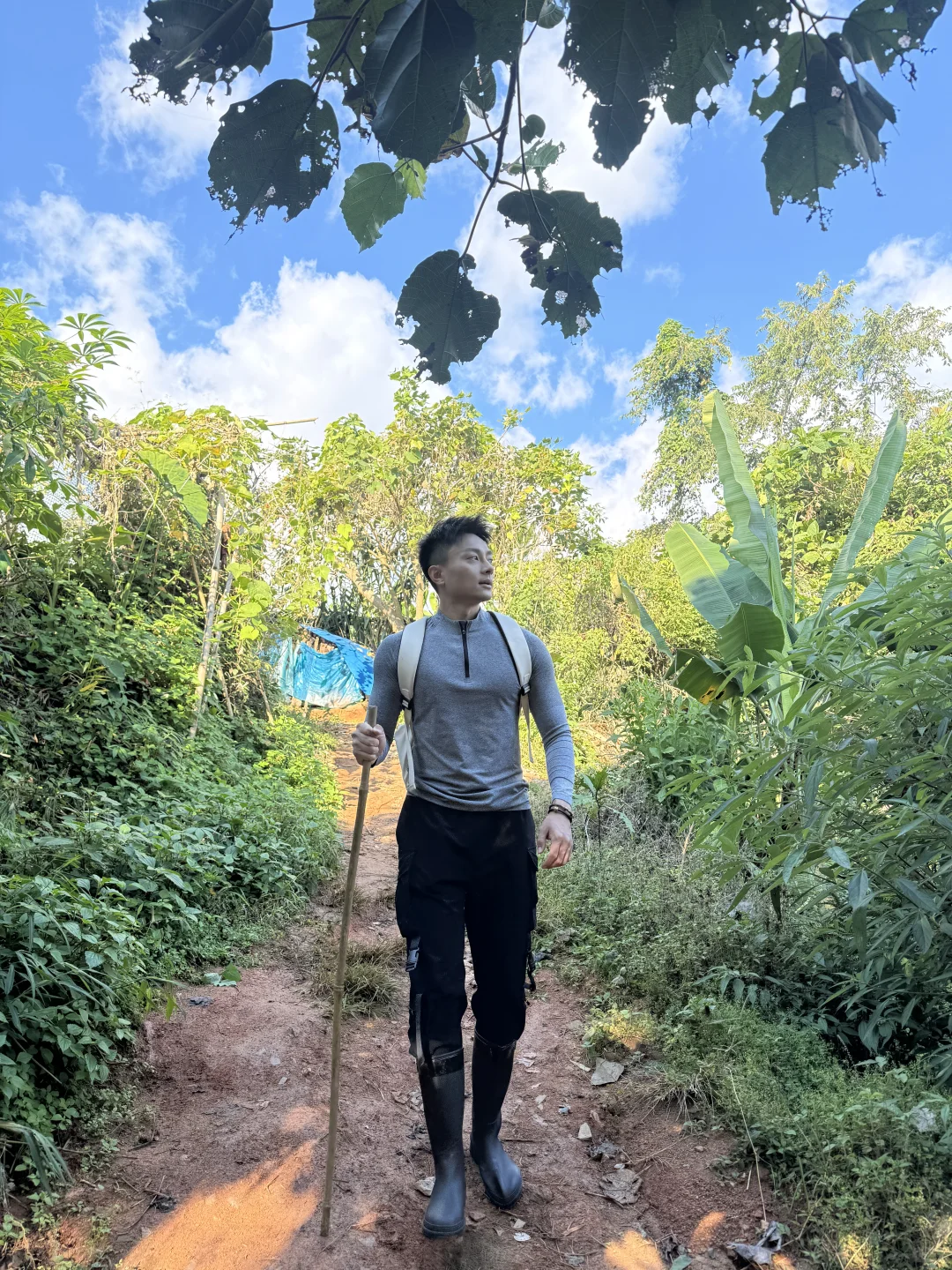 雨林徒步 穿越山野溪涧