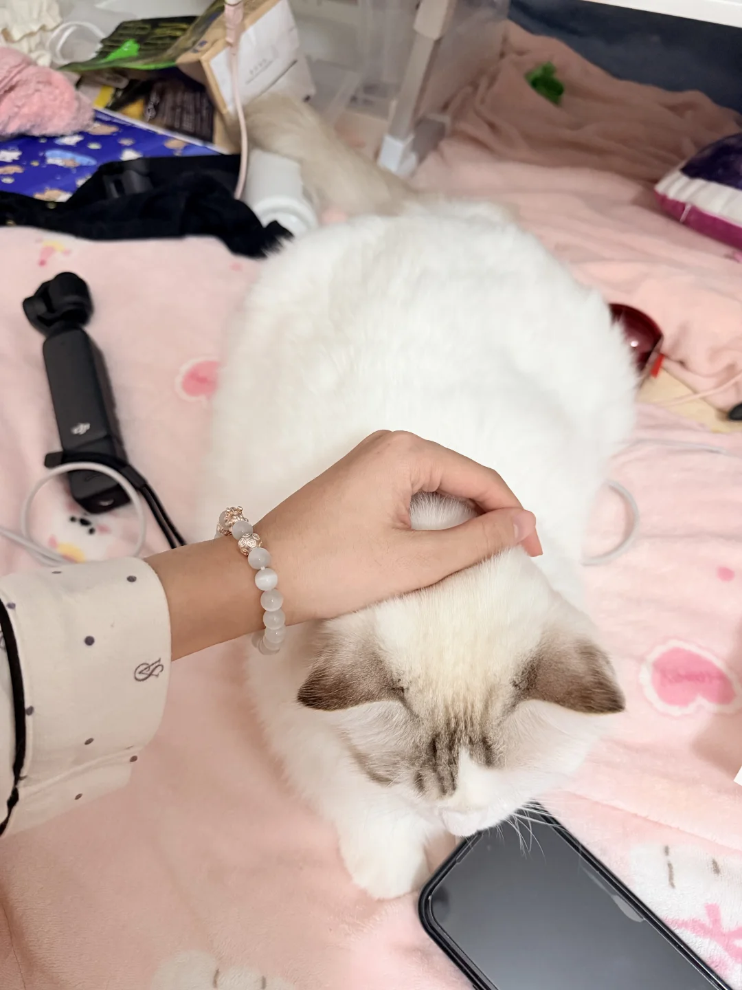 澳门🇲🇴｜吃喝随记穿睡衣出门的快乐谁懂