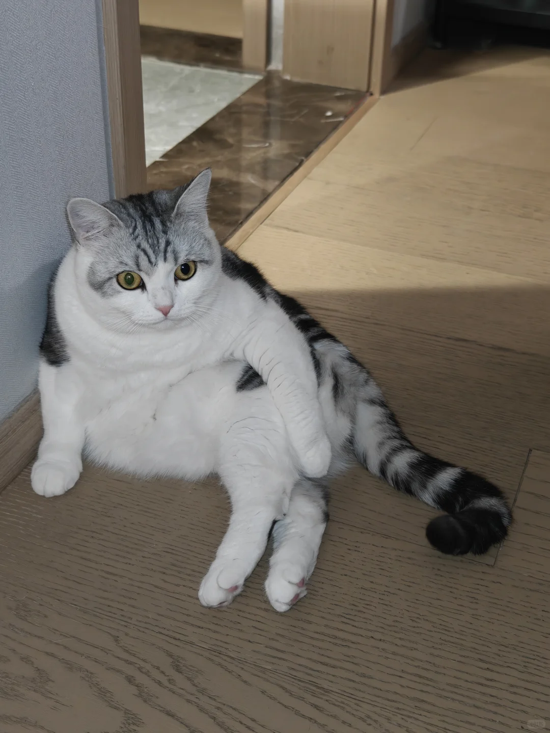 咋说呢？胖了也是妖娆的