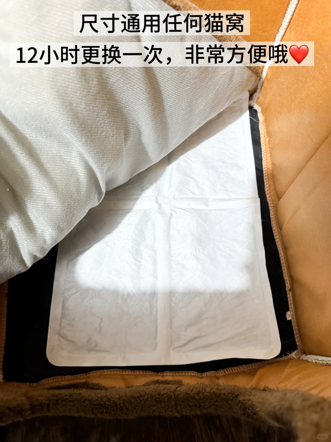 就选它！佩奇宠物暖垫！