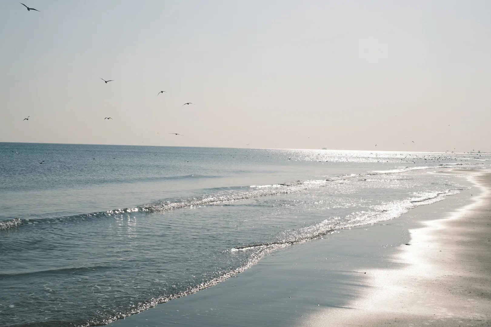 卡哈特与海边更配