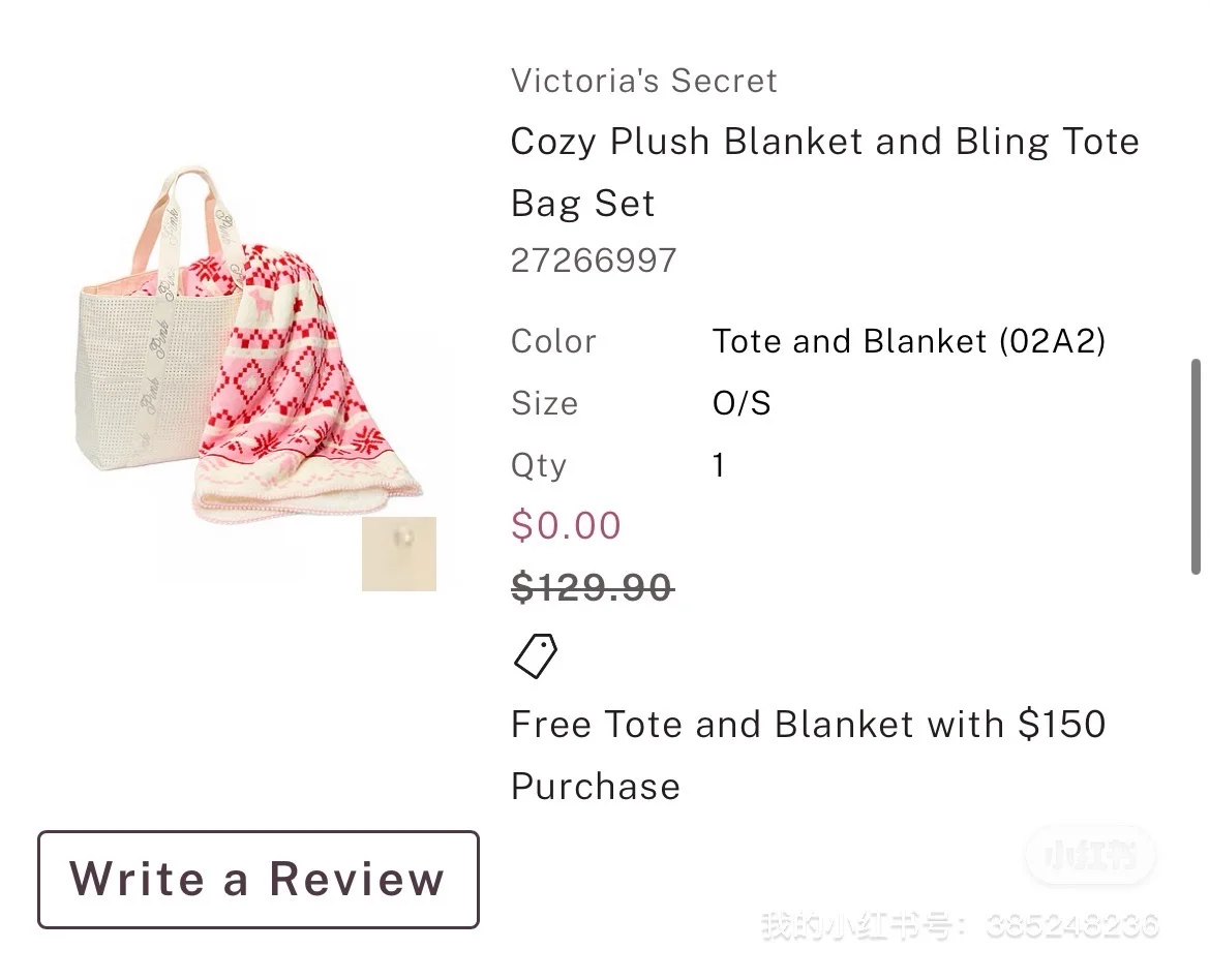 出维秘pink的托特包+毛毯