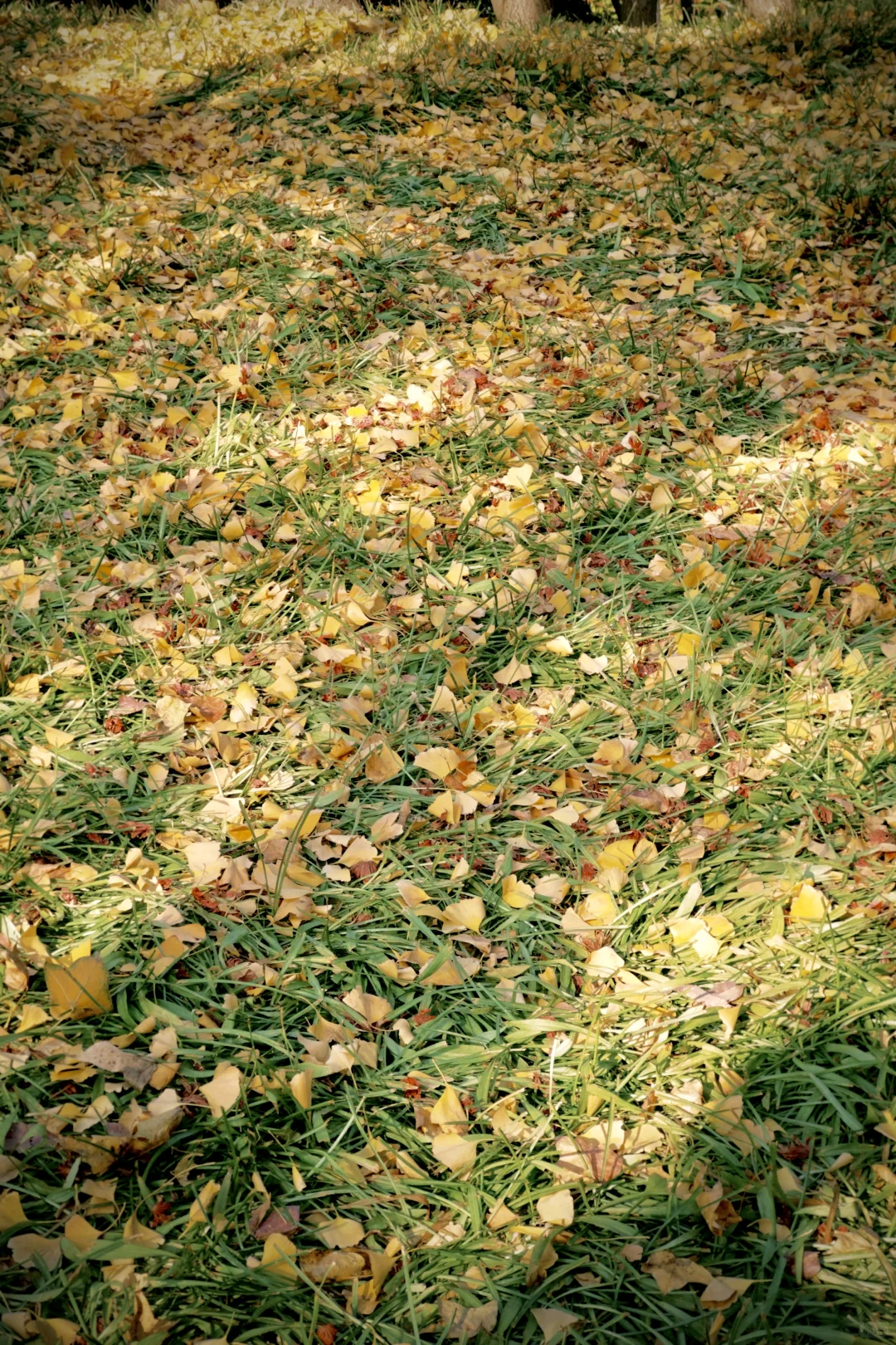 ☀️【天气好极了，钱几乎没有。】